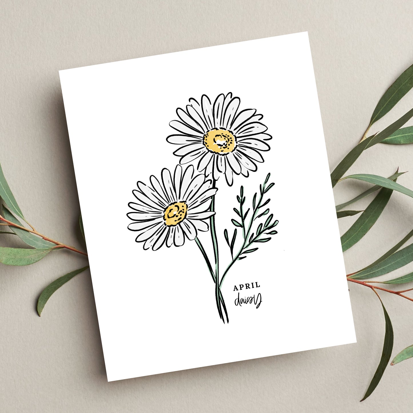 April Birth Flower Unframed Daisy Art Print Floral Birthday Gift