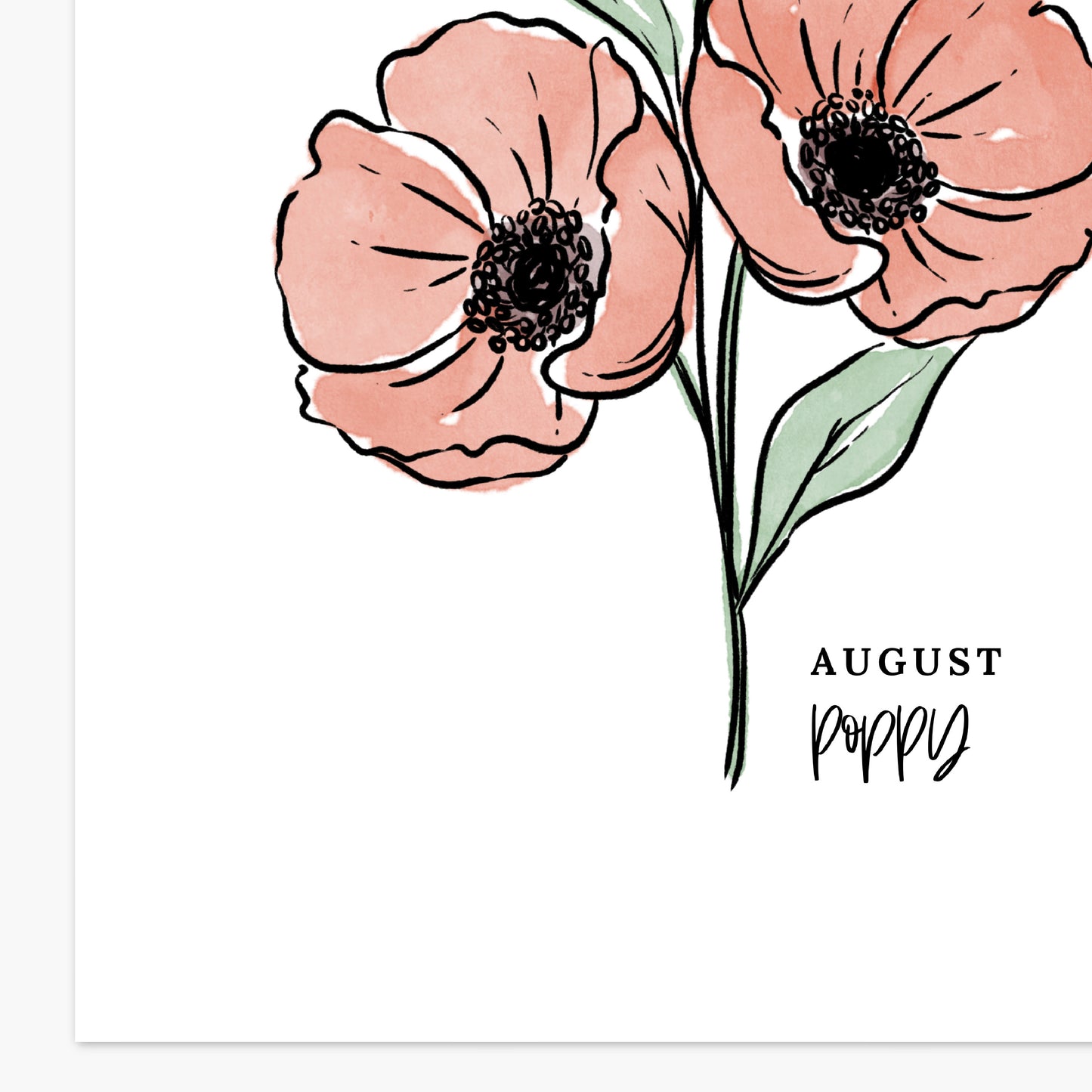 August Birth Flower Unframed Red Poppy Art Print Floral Birthday Gift