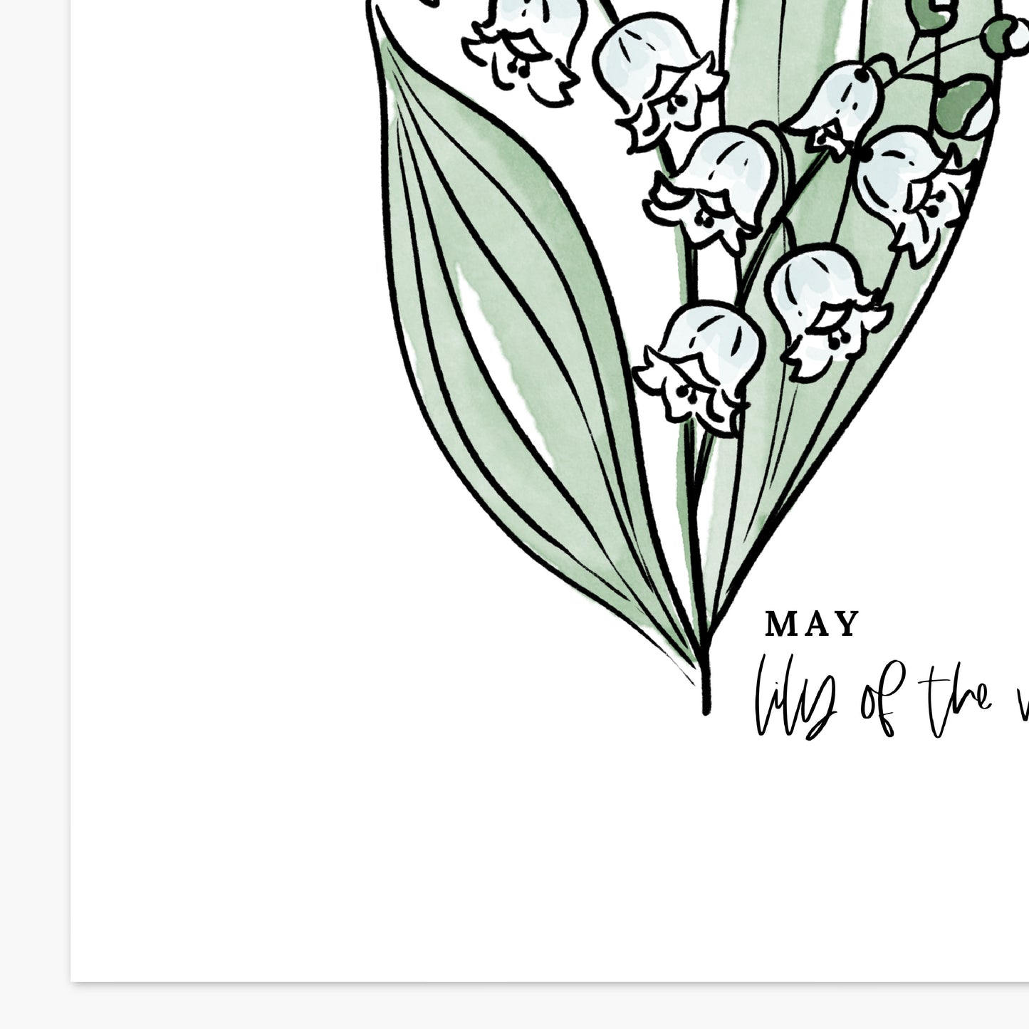 May Birth Flower Unframed Lily of the Valley Art Print Floral Birthday Gift