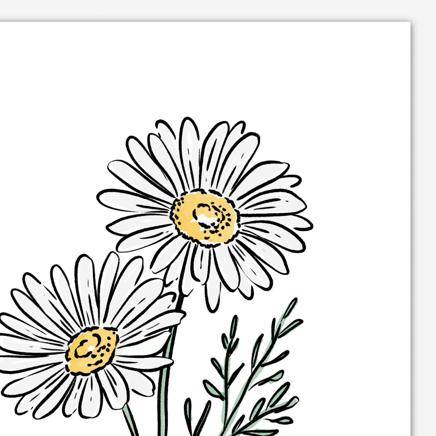 April Birth Flower Unframed Daisy Art Print Floral Birthday Gift