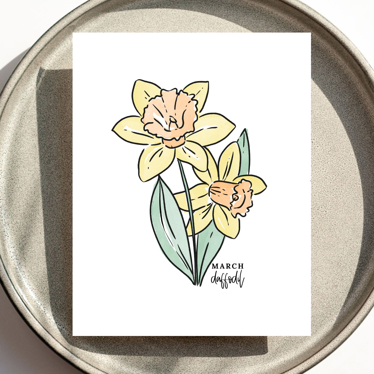 March Birth Flower Unframed Daffodil Art Print Daffodil Floral Birthday Gift