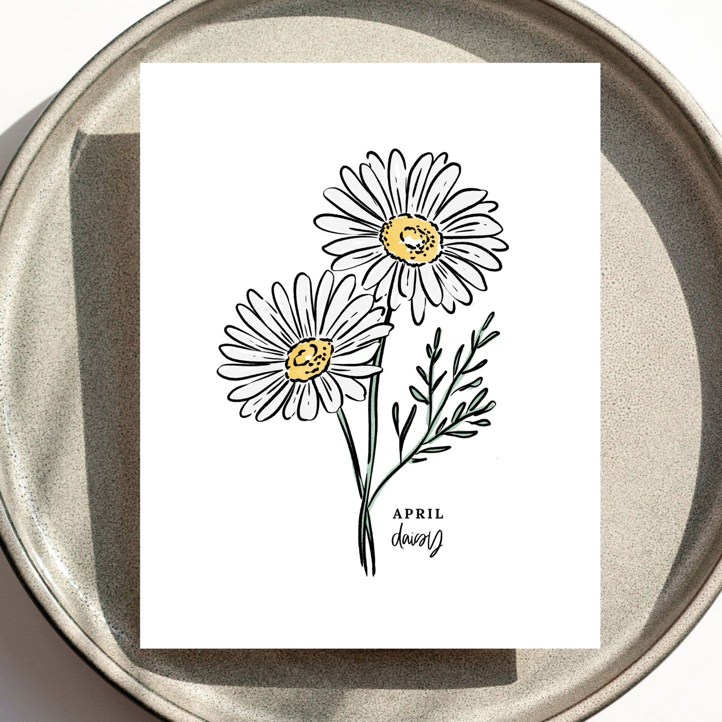 April Birth Flower Unframed Daisy Art Print Floral Birthday Gift