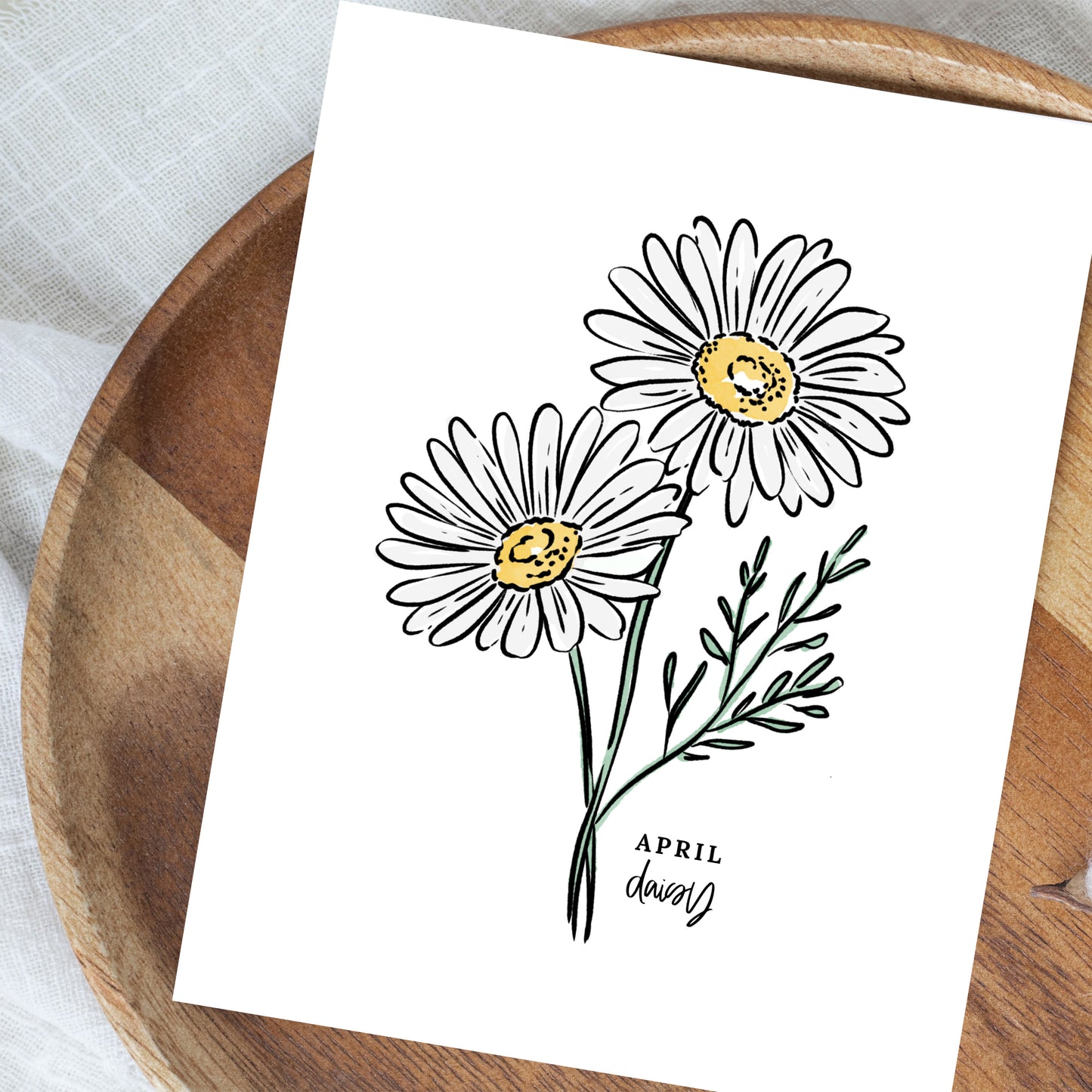 April Birth Flower Unframed Daisy Art Print Floral Birthday Gift