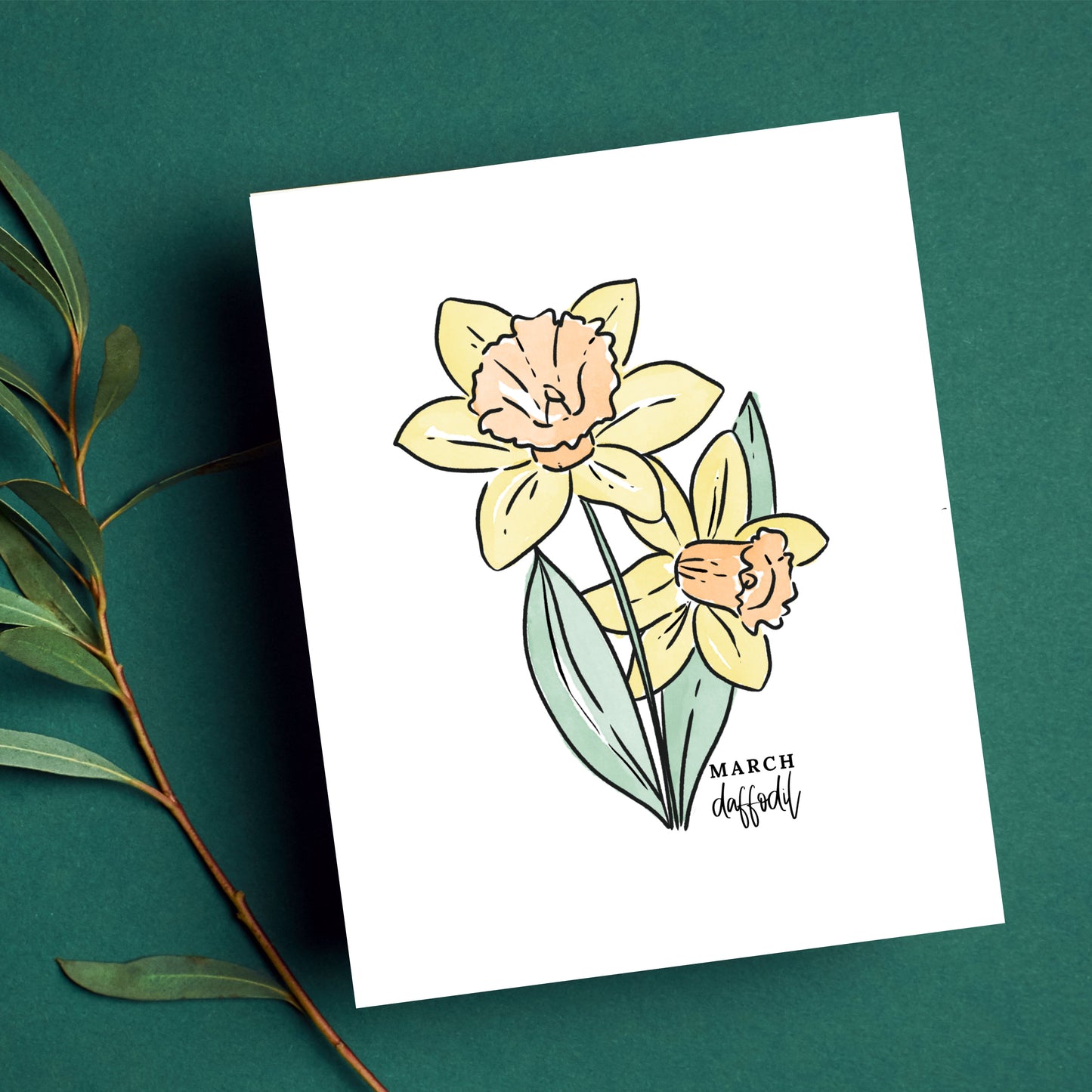 March Birth Flower Unframed Daffodil Art Print Daffodil Floral Birthday Gift