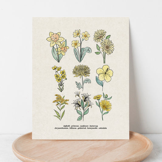 Yellow Flower Chart Unframed Art Print | Antique Paper Background | Sunflower Daffodil Buttercup Garden Inspired Art