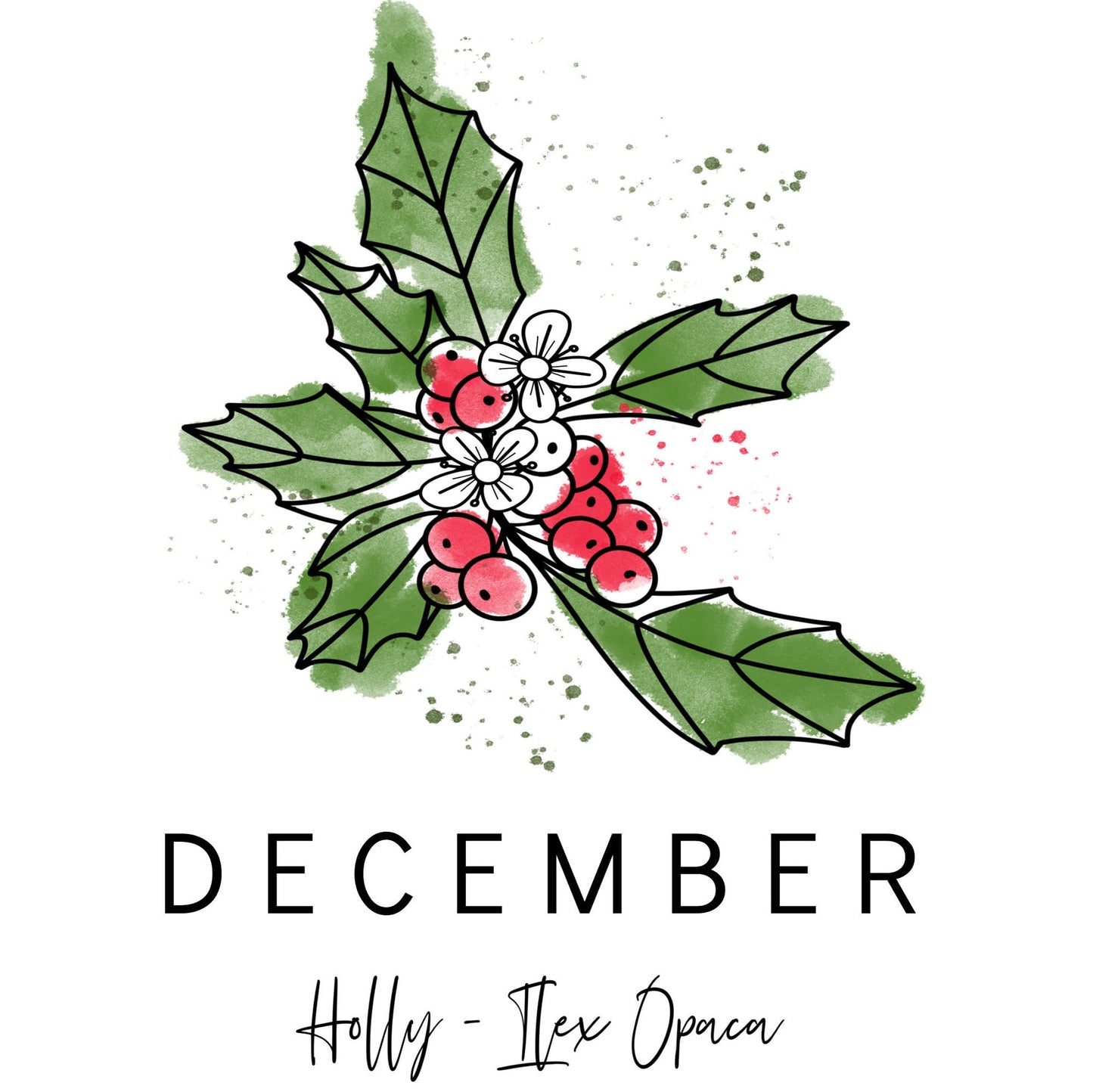 December Birth Month Flower Holly | Personalized Unframed Art Print | Custom Name Birthday Wall Decor