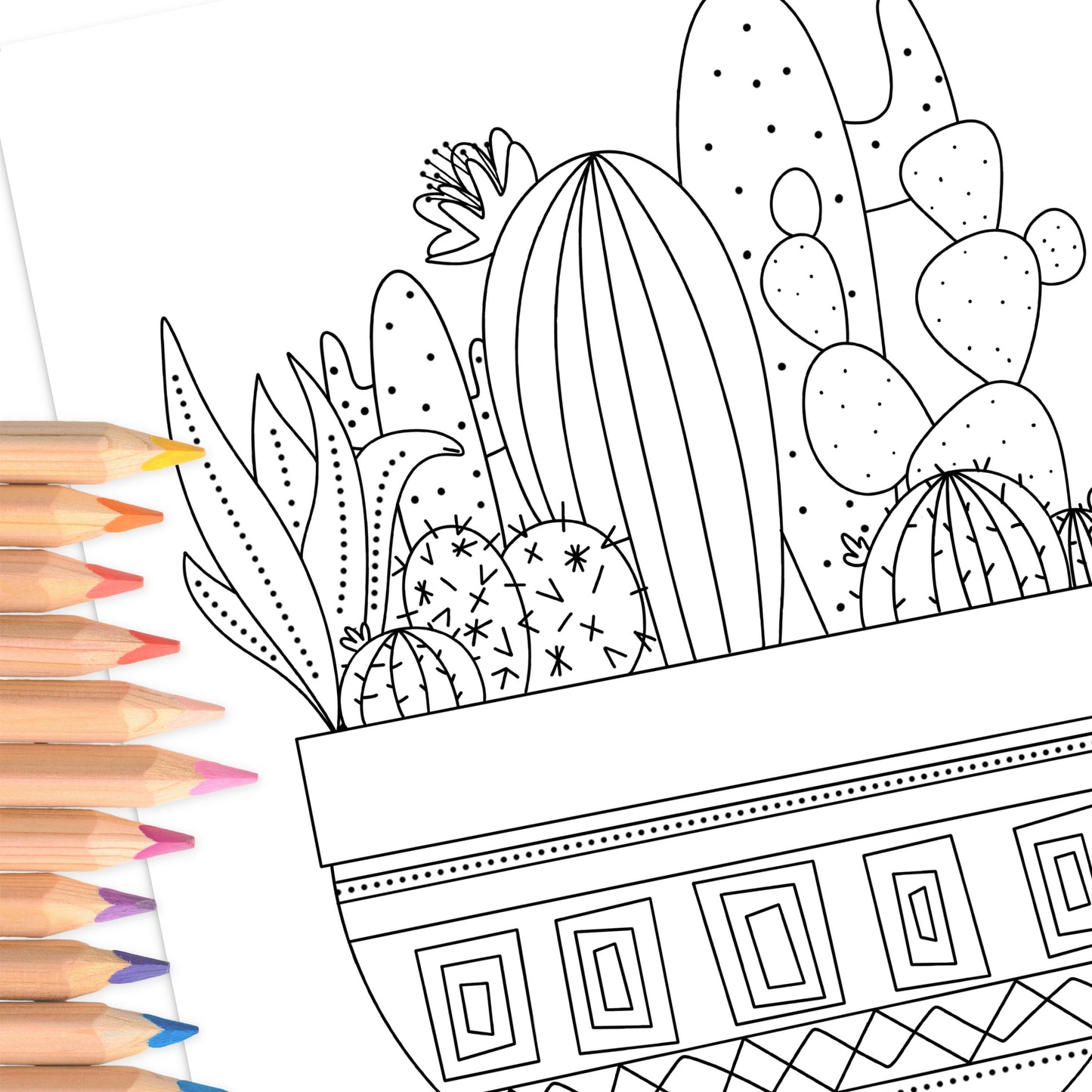 Cactus Potted Plants | Hand-Drawn Coloring Page Digital Printable