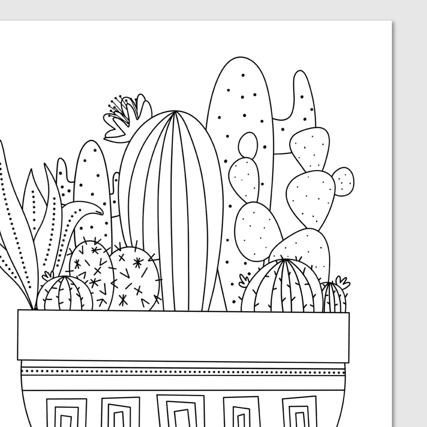 Cactus Potted Plants | Hand-Drawn Coloring Page Digital Printable