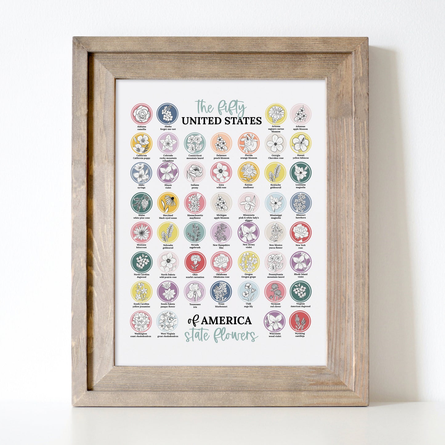 US State Flower Colorful Chart Printable | United States of America 50 States
