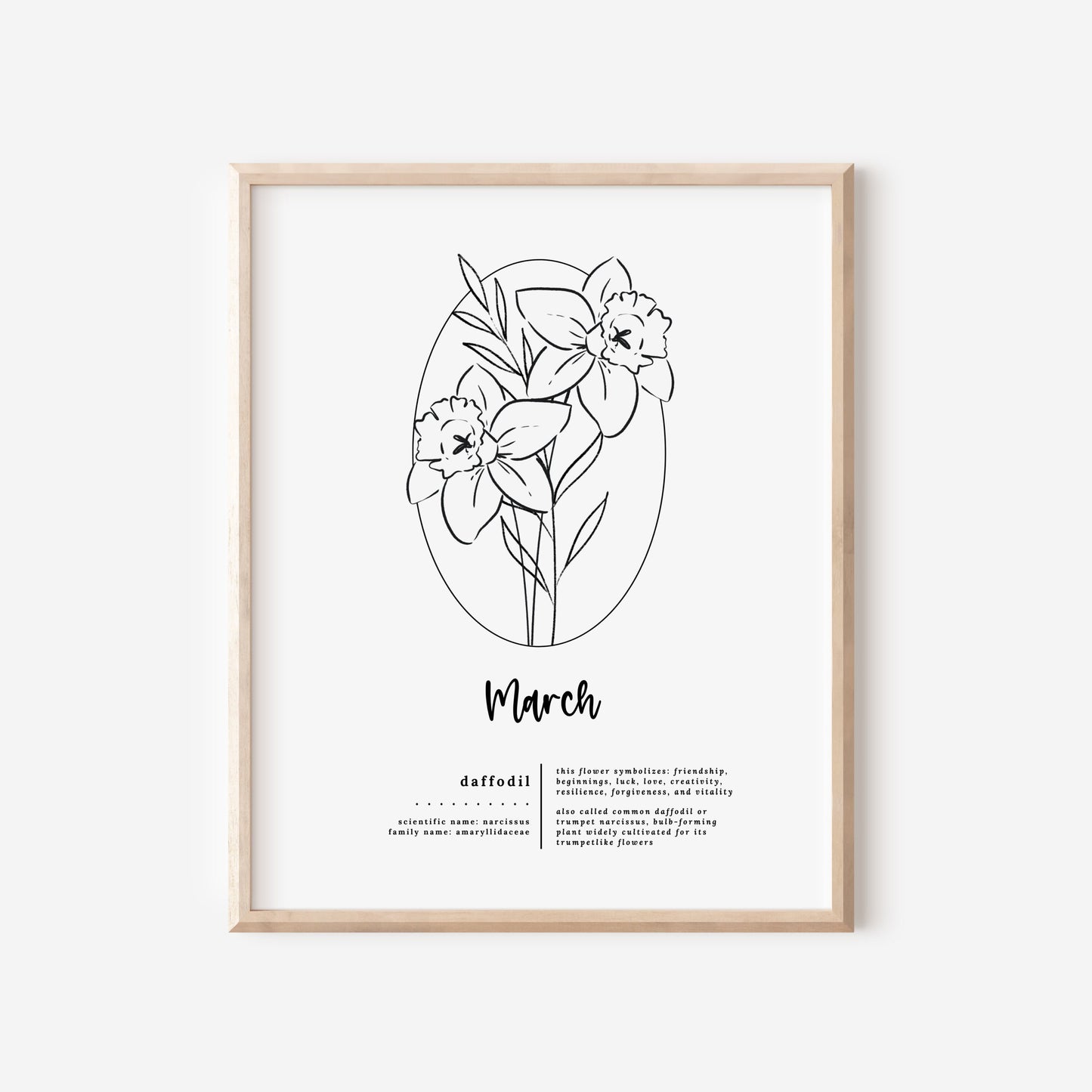 March Birth Flower Daffodil Printable | Simple Sketch Art
