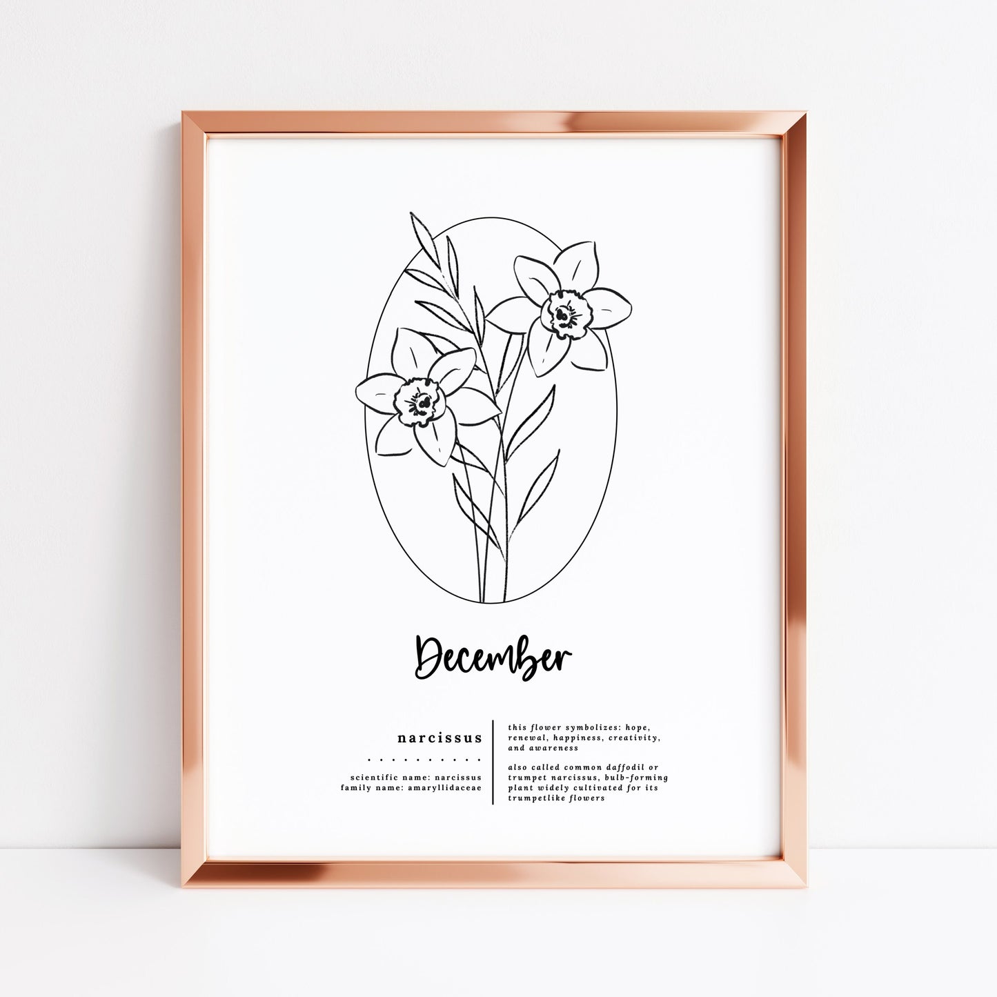 December Birth Flower Narcissus Printable | Simple Sketch Art