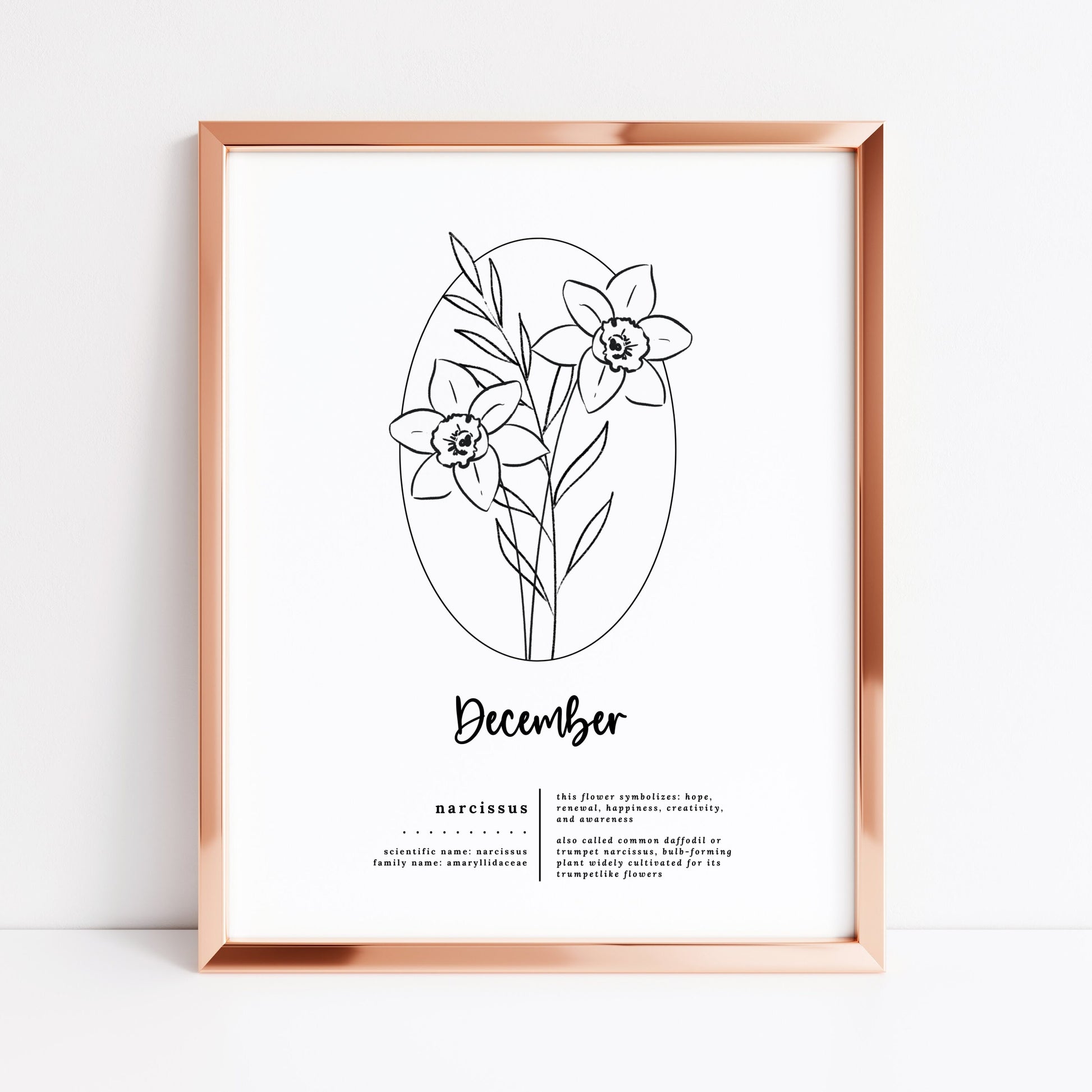 December Birth Flower Narcissus Printable | Simple Sketch Art