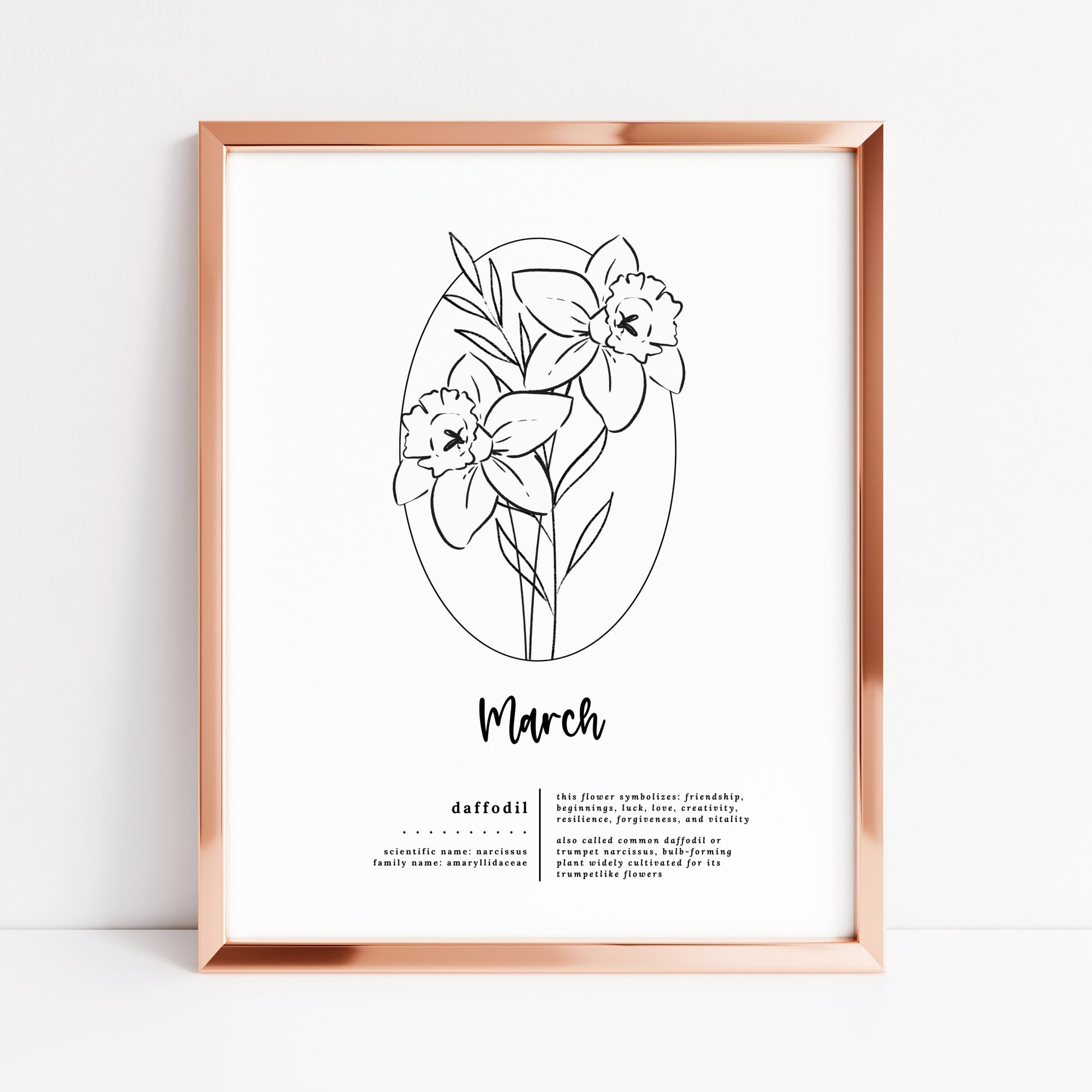 March Birth Flower Daffodil Printable | Simple Sketch Art
